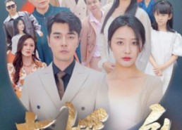 短剧《女婿回乡（120集）》精彩短剧全集在线赏