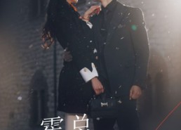 短剧《霍总，太太她不要你了（89集）》短剧全集免费在线看不停