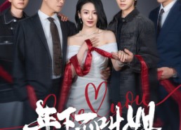 短剧《年下不叫姐（38集）》短剧精彩全集在线品鉴