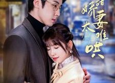 短剧《乖甜娇妻太难哄（100集）》短剧全集免费高清畅享