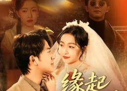 短剧《缘起错位时（60集）》短剧全集免费高清点播