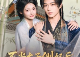 短剧《不当太子侧妃后，我被王爷宠成宝（80集）》短剧全集无删减畅看