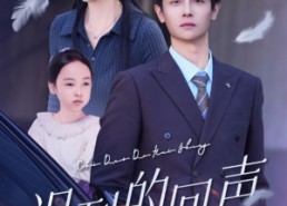 短剧《迟到的回声（75集）》高人气短剧全集在线观看