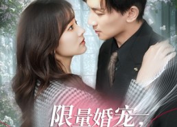 短剧《限量婚宠，冰山爹地妻奴日常（80集）》短剧全集免费在线高清赏