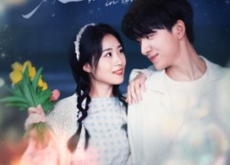 短剧《爱可跨越山海（55集）》免费短剧完整版追剧