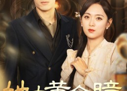 短剧《她有黄金瞳，你惹她干嘛（88集）》短剧全集免费一键看