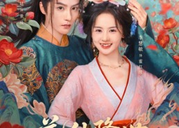 短剧《花仙降世，帝君连夜改追妻剧本（80集）》短剧全集免费在线追