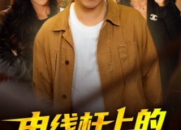 短剧《电线杆上的征婚广告，竟是美女上司（90集）》热门短剧免费全集速览