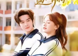 短剧《重回盛夏遇青梅（68集）》经典短剧在线免费观看