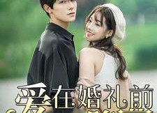 短剧《爱在婚礼前降落（50集）》热门短剧完整版在线赏