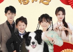 短剧《驯兽萌宝惹不起（60集）》超火短剧在线免费播