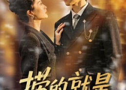短剧《捞的就是捞女（40集）》免费短剧完整版观看
