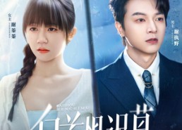 短剧《白首恨迟暮（78集）》短剧完整版免费在线赏