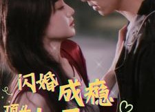 短剧《闪婚成瘾，顶头上司是我老公（94集）》短剧全集无广告免费看