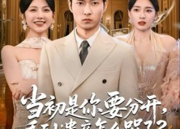 短剧《当初是你要分开，看到遗产怎么哭了？（70集）》热门短剧全集免费畅看