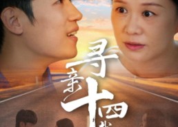 短剧《寻亲十四载（50集）》短剧全集高清免费看