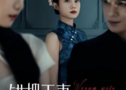 短剧《错把正妻当婆婆（46集）》短剧完整全集免费欣赏