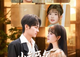 短剧《小乞丐与太子爷的黑卡（60集）》短剧免费追番不停