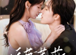 短剧《娇藏蔷薇（64集）》短剧高清全集在线追