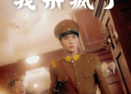 短剧《进入帅府后我杀疯了（83集）》超燃短剧全集在线速看