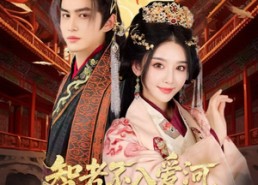 短剧《智者不入爱问娘娘不想负责（55集）》短剧免费全集一键观看