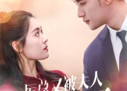 短剧《厉总又被夫人拿捏了（82集）》短剧免费全集高清观看