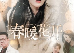 短剧《春暖花开（30集）》优质短剧高清免费赏