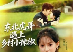 短剧《东北虎哥遇上乡村小辣椒（67集）》超火短剧免费畅看全集