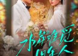 短剧《水岸难觅旧年人（68集）》短剧高清全集免费享