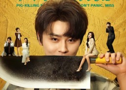 短剧《杀猪神医，大小姐别慌（80集）》精彩短剧在线高清播放