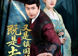 短剧《既是土匪，又是镇国将军（65集）》热门短剧免费完整播