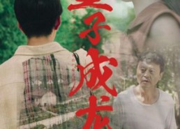短剧《望子成龙（74集）》热门短剧免费全集浏览