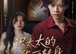 短剧《迟太太的华丽转身（80集）》优质短剧完整版欣赏