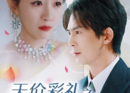 短剧《天价彩礼之这婚我不结了（32集）》优质短剧全集免费览