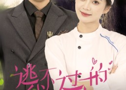 短剧《逃不过的我爱你（64集）》短剧在线看全集不卡顿