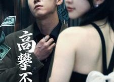 短剧《高攀不起（95集）》免费短剧在线高清畅享