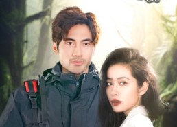 短剧《家族争霸之丛林迷雾（55集）》短剧完整版免费观看