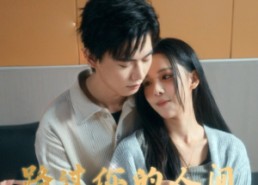 短剧《路过你的人间（31集）》热门短剧在线高清播放