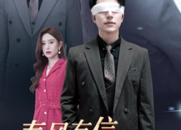 短剧《失明之后爱意尽毁（30集）》必看短剧免费全集轻松看