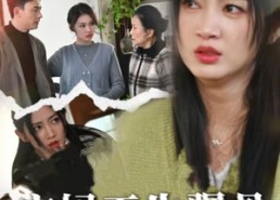 短剧《宝妈天生犟骨（32集）》短剧免费全集畅快追剧