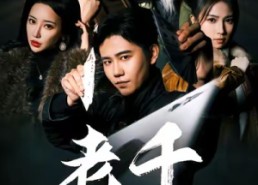 短剧《老千（75集）》精彩短剧在线免费览