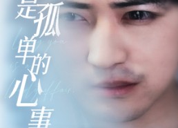 短剧《新：爱你是孤单的心事（32集）》热播短剧免费全集看