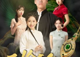 短剧《鉴宝传说之无价赘婿（100集）》免费短剧在线流畅观看