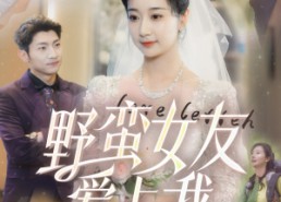 短剧《野蛮女友爱上我（100集）》爆款短剧全集免费看