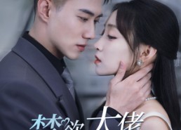 短剧《禁欲大佬爆宠三胎孕妻（60集）》爆款短剧全集免费看