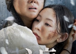 短剧《心盲（100集）》精彩短剧全集免费观