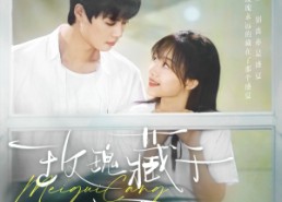 短剧《玫瑰藏于盛夏（88集）》免费短剧高清全集畅看