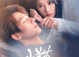 短剧《小猫捉到月亮啦（80集）》短剧全集免费畅享观看