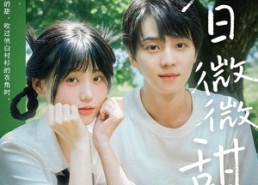 短剧《夏日微微甜（79集）》高清短剧完整版免费看