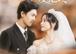 短剧《大雾起爱意尽（39集）》短剧免费全集畅快追